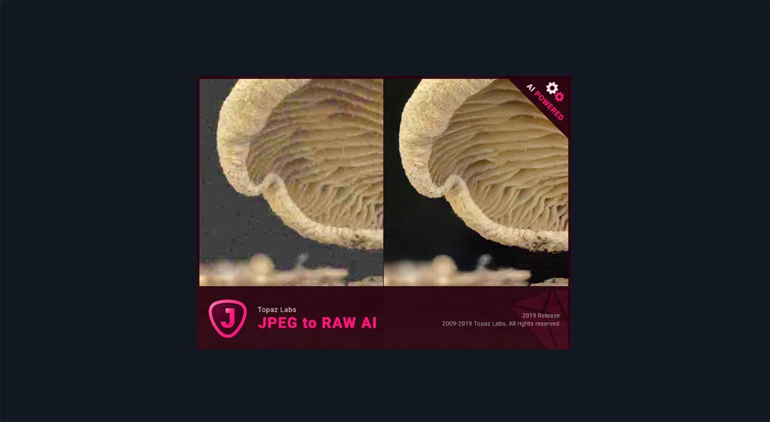 JPEG转RAW插图2