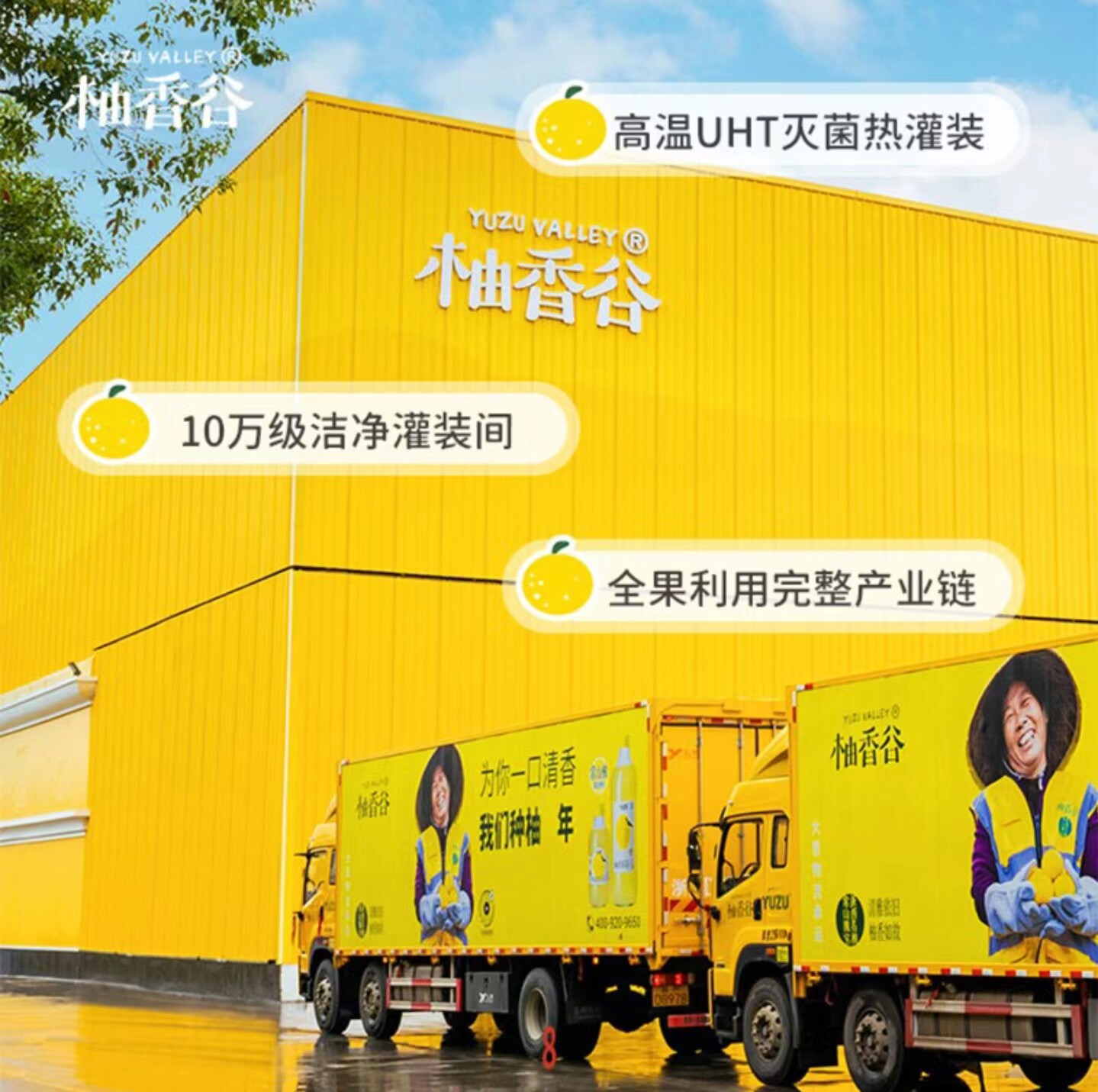 Pomelo Juice from Yuxiang Valley, Whole Box of Song Pomelo Juice, 1kg*6 Large Bottles, Double Pomelo Juice, Pomelo Juice Drink, Chongshan Huyu Juice