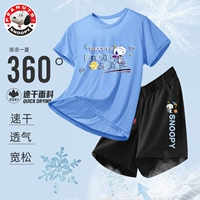 [Set] Star Youbinbi Light Blue+Constellation Nabi короткие черные брюки