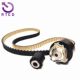 Timing set 1623231680 1608684280 is suitable for Peugeot Citroen DS Opel 1.2T engine