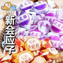 Guangdong Xinhui specialty tangerine peel plum snowflake lemon plum plum preserves 8090s childhood snacks