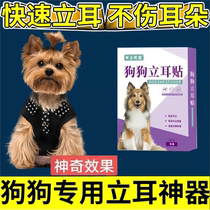 Yorkshire dog ear erection patch puppy deer dog ear auxiliary ear erection artifact puppy correction erection device holder