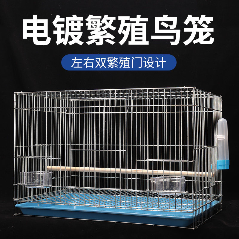 牡丹玄凤鸟笼:👑中大型电镀加粗金属笼,养鸟爱好者的终极选择!🦜 -鸟笼-淘宝好物网