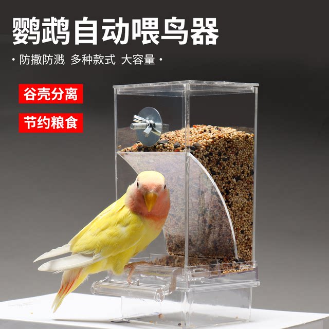 Parrot bird food box anti-splash automatic feeder anti-splash plug-in bird feeder tiger skin peony black phoenix bird supplies