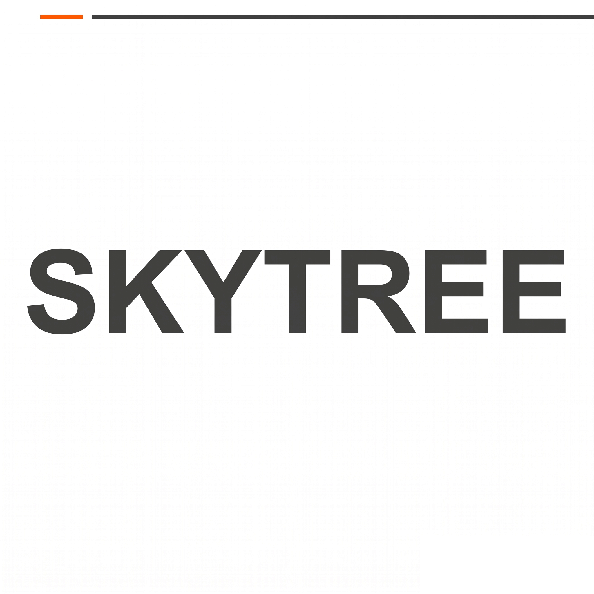 SKYTREE旗舰店