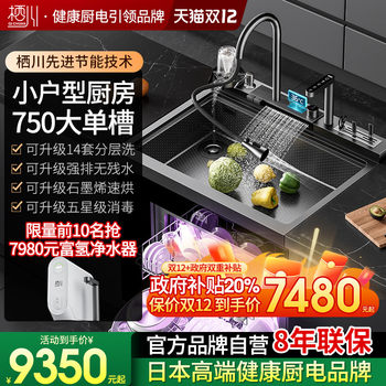Japanese sichuan integrated sink dishwasher 14 sets layered