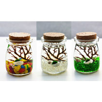 Seaweed Balls Eco Bottle Mariimo Microscape Balls Algae Hydroponic Table Potted Creative Students Gift Mini plants