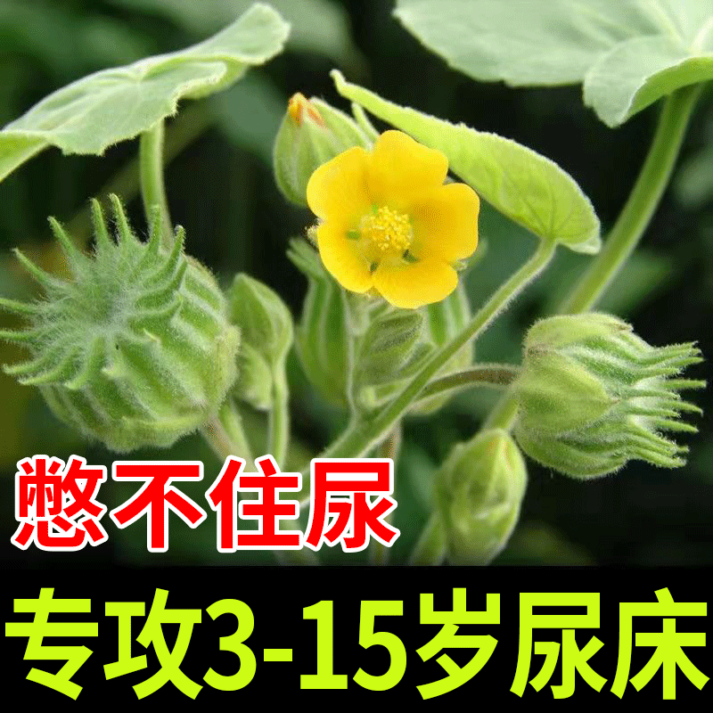 Pediatric urine patch in children can not hold urine navel stomach insect insanitance bedshit improved dedicated LJ