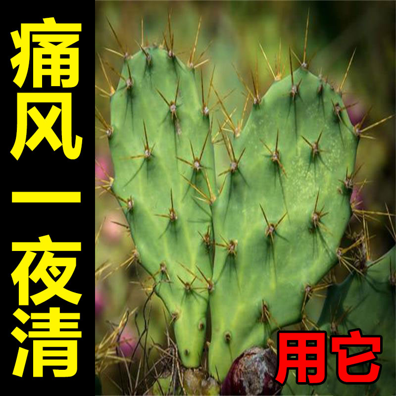 (new gout effective medicine) gout gram star relieves finger toe joint drum kit swelling pain gout cream XW 