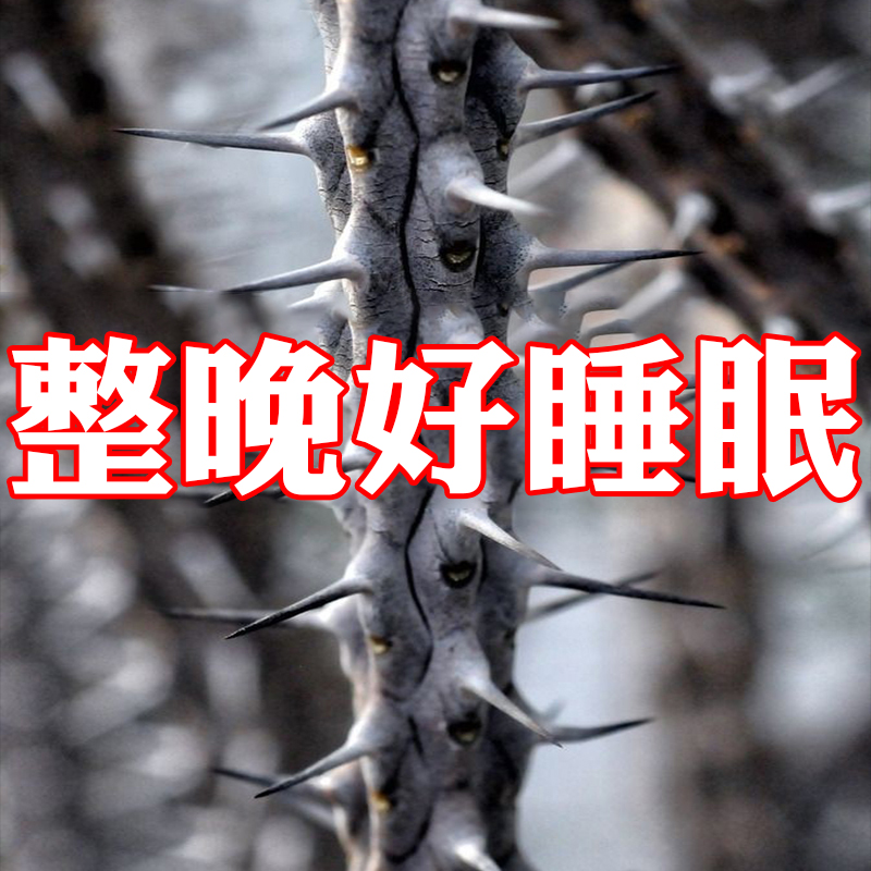 (first with good first) severe anxiety to improve sleep without special insomnia post improvement sleep without LJ 