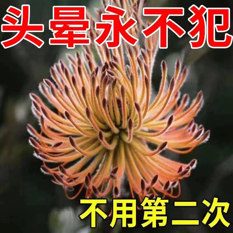 (end of the night fainting) dizzy cream with dizziness and dizzy spells head buzzing for lack of blood to wake up the brain and tranquilize the paste YN 