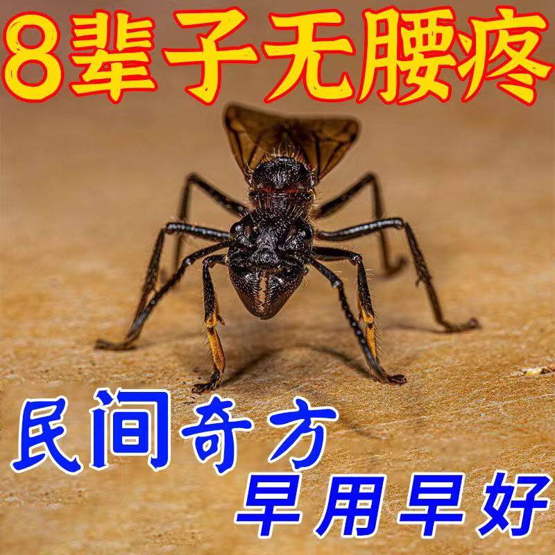 (waist pain 100% good) lumbar pain lumbar muscle strain waist surge oppressive nerve lumbar disc Highlight special patch YN 