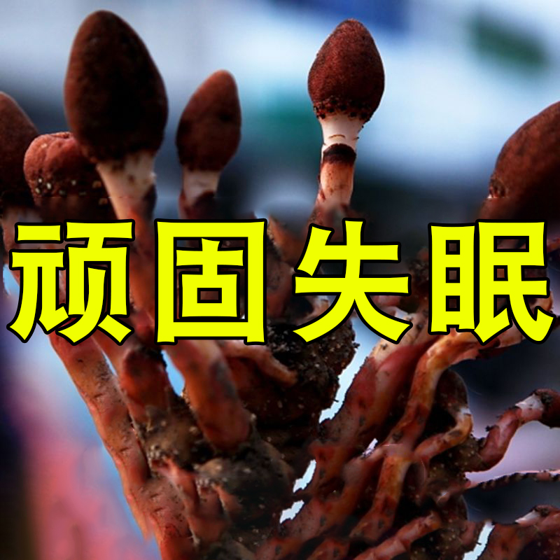 Insomnia Stickup Fast Asleep Special Anxiety Sleep Aids Sleep and Sleep Sleep Sleep Sleep Improved Sleeping LJ 