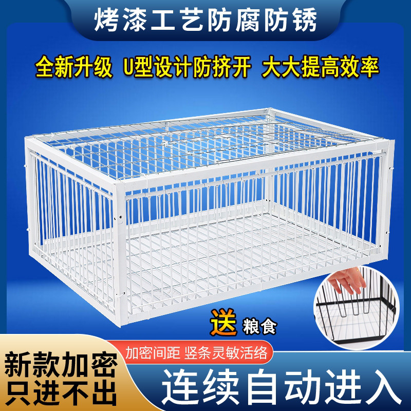 <!--天落笼只进不出鸽子笼加密活络门鸽笼自动门撞门户外房顶鸽子神器-->