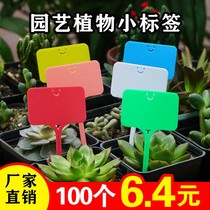 Plant labelling inserts Hanging Signs Tree Planting Trees trees Seedlings Wood Flowerpots Plastic Multi-Meat Inserts of Flower Gardening