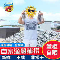 Extra large dried cuttlefish special grade fresh water light sun-dried cuttlefish fresh seafood small cuttlefish whole dried cuttlefish