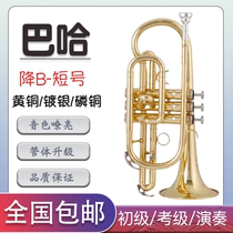 B flat cornet trumpet instrument cornet beginner grade examination professional performance