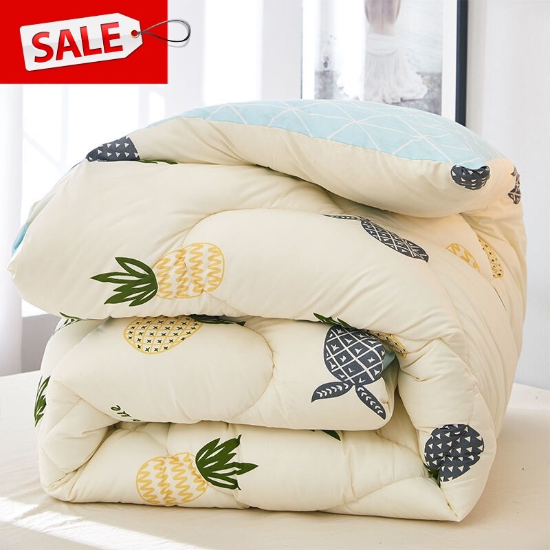 Baking Fire Box Special Quilt Winter Quilt Spring Autumn Core Single Dormitory Winter Thickened Warm Cotton Air Conditioning Quilted season Home