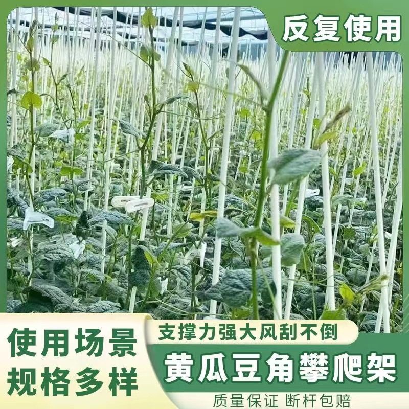 黄瓜搭架杆西红柿立杆玻璃纤维塑料豆角豇豆芸豆四季豆番茄爬藤杆：种菜神器来袭！-温室大棚支架-淘宝好物网