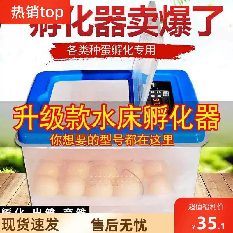 Household small machine hatching eggs with chicken electric floating chicken floatrs incubator full automatic intelligence