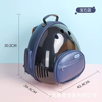 Космический счетчик кошачий пакет-роял синий