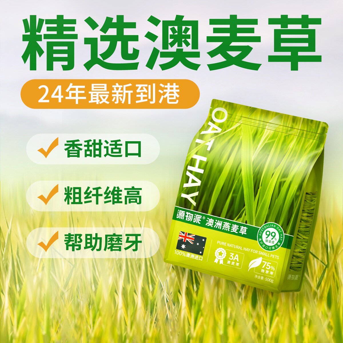 派黄金澳麦草澳州燕麦草进口晒干提摩西草兔子龙猫豚鼠干草