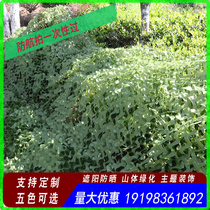Sunscreen Heat Insulation Grass Green Shading Net Indoor Camouflated Net encryption cover net ink Green pseudo-fit net durable and air-proof