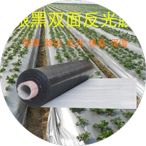 Silver and black mulch film two-color reflective film agricultural weeding black mulch film thermal insulation and moisturizing gray and white film orchard fruit tree insect prevention