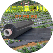 Black mulch film agricultural black film white film orchard weed control film insulation and moisturizing vegetable plastic film thickening for planting