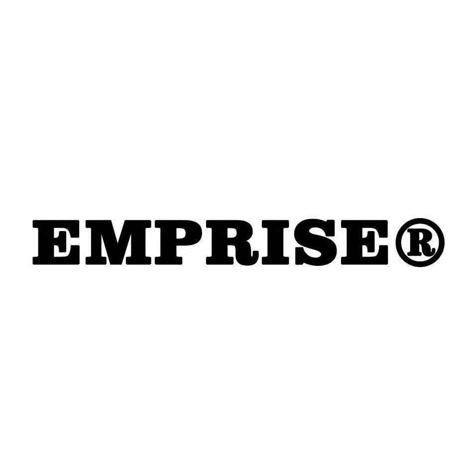 EMPRISE定制企业店的LOGO