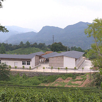 西双版纳叶香茶厂