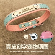 Dog Item Circle Phone Fou Special Corky Dog Neck Name Anti-Loss Card Custom with Teddy Little Milk Cat