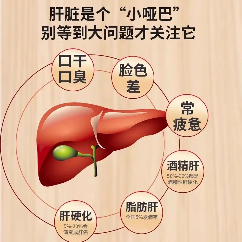黄金搭档熊胆粉：养肝护肝降肝火，告别口苦口臭的秘密武器！