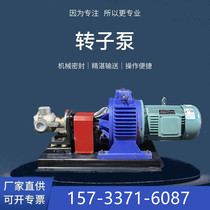 NCB stainless steel rotor pump electric food maltose honey transfer pump high viscosity paint pump stainless steel pump