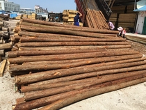 Camping stakes barked fir logs fir poles dead tree poles real trunks wedding arch stakes fence wood