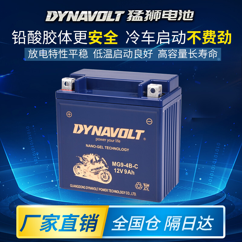 Suitable for Honda Silver Wings GT400 600 xin source X5 XY400GY silver wing motorcycle battery-Taobao
