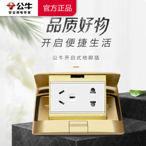 Bull all-copper ground plug GD1 five-hole waterproof socket gold and silver household damping hidden stainless steel floor panel plug