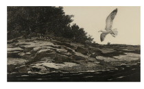 Ceremony photography decoration painting