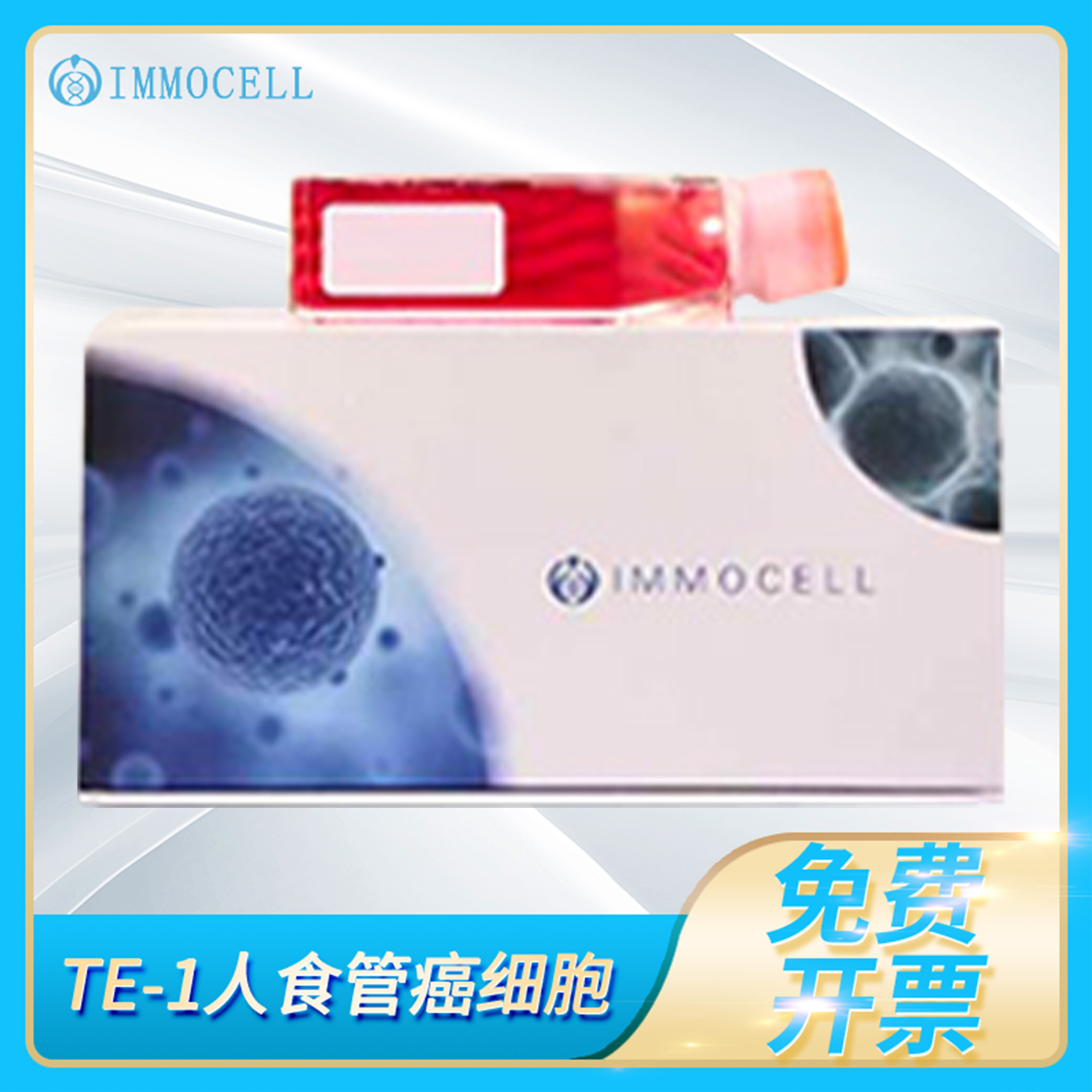 TE-1人食管细胞(STR鉴定正确)Human Esophageal Cancer Cells逸漠