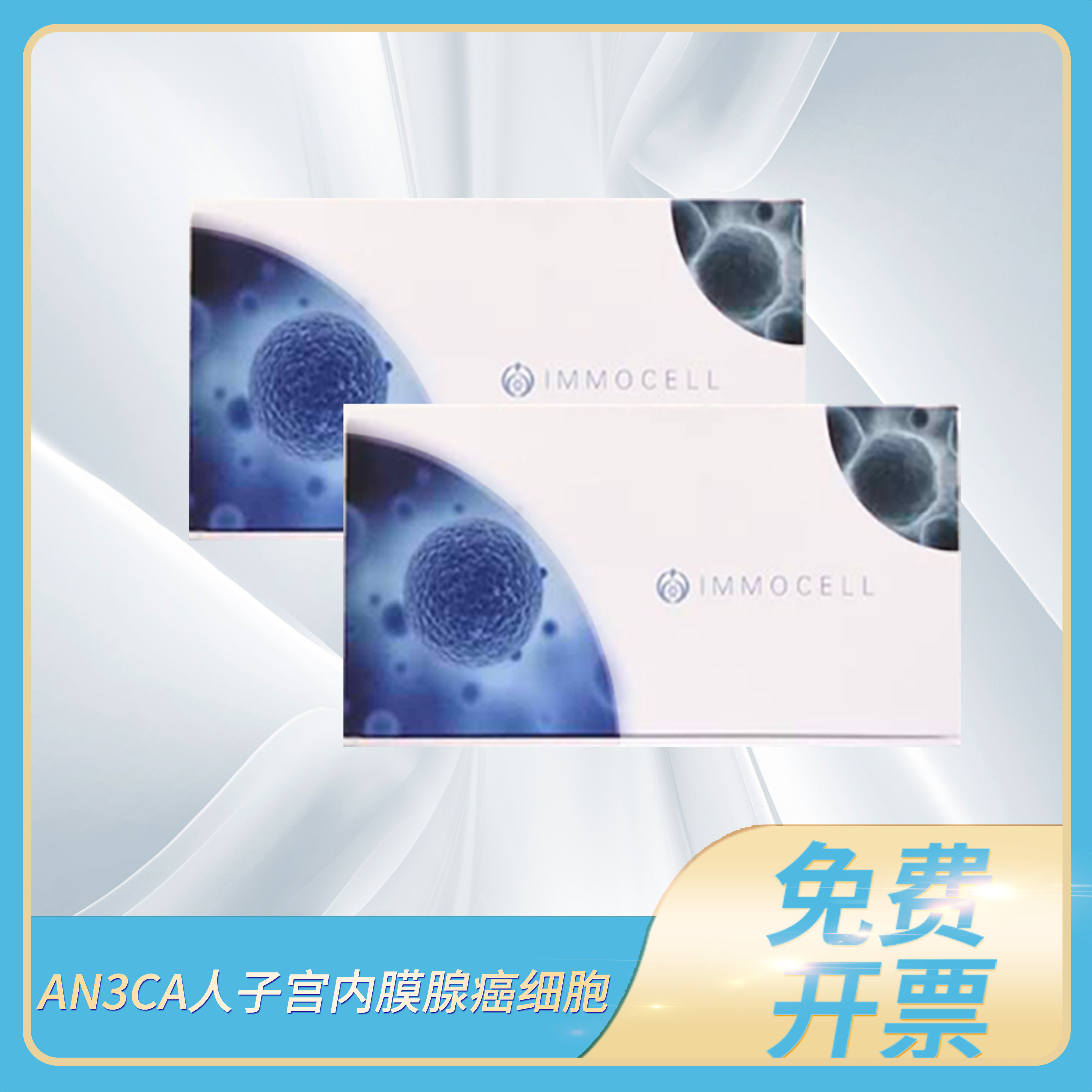 AN3CA人子宫内膜腺癌细胞(STR鉴定正确)AN3 CA子宫内膜培养逸漠