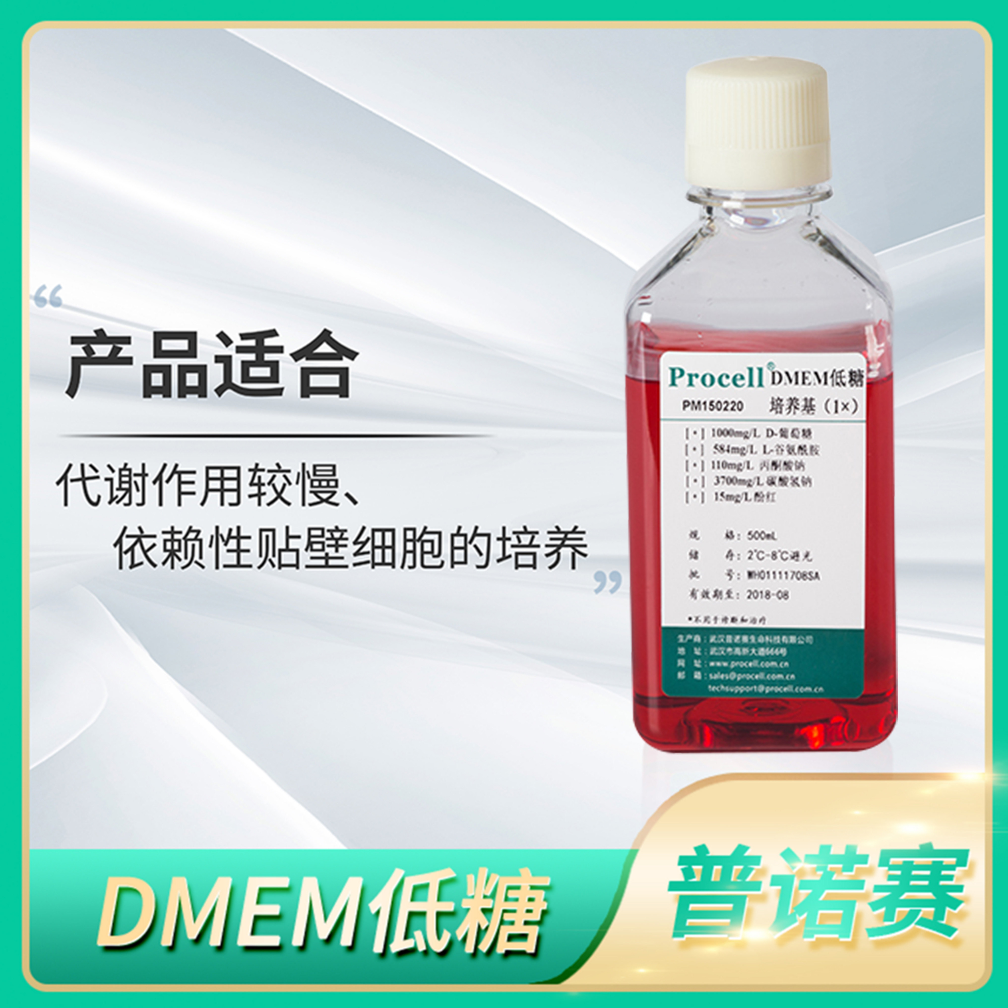 Procell普诺赛DMEM低糖培养基含双抗FBS/HEPES细胞无菌完全培养液