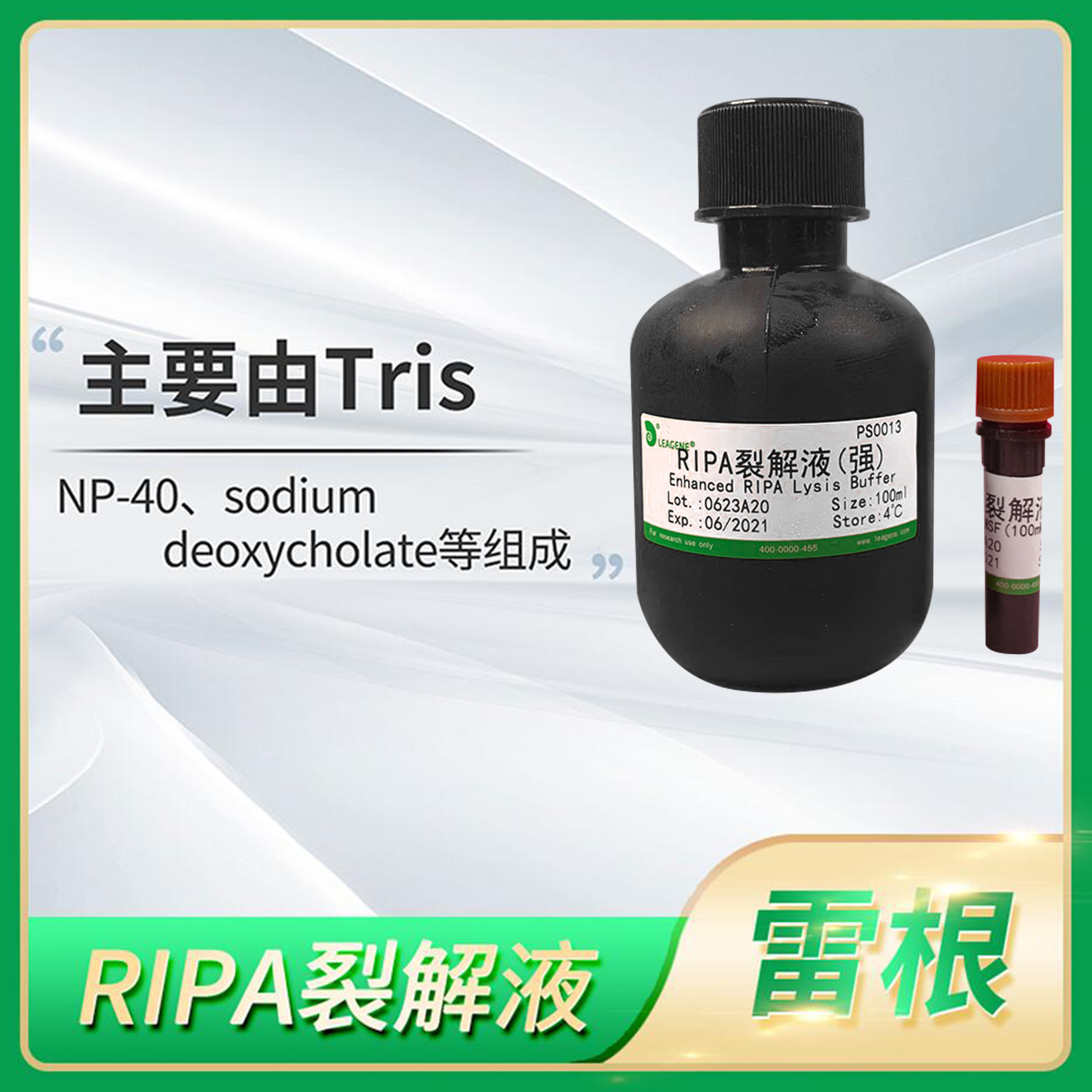 Leagene雷根RIPA裂解液(弱中强)细胞RIPA Lysis Buffer总蛋白提取