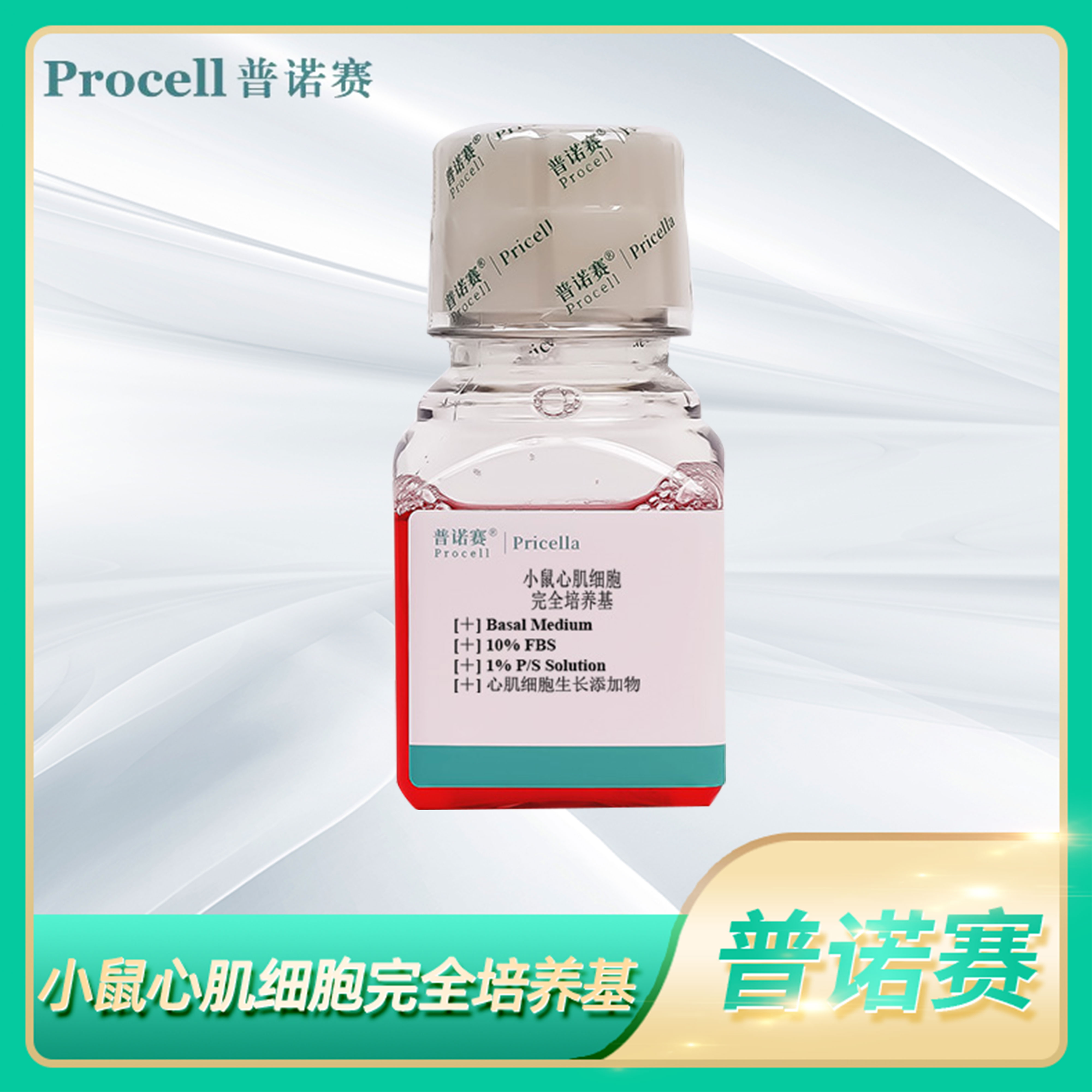 心肌细胞培养液Mouse Cardiomyocyte Cell小鼠心肌细胞完全培养基