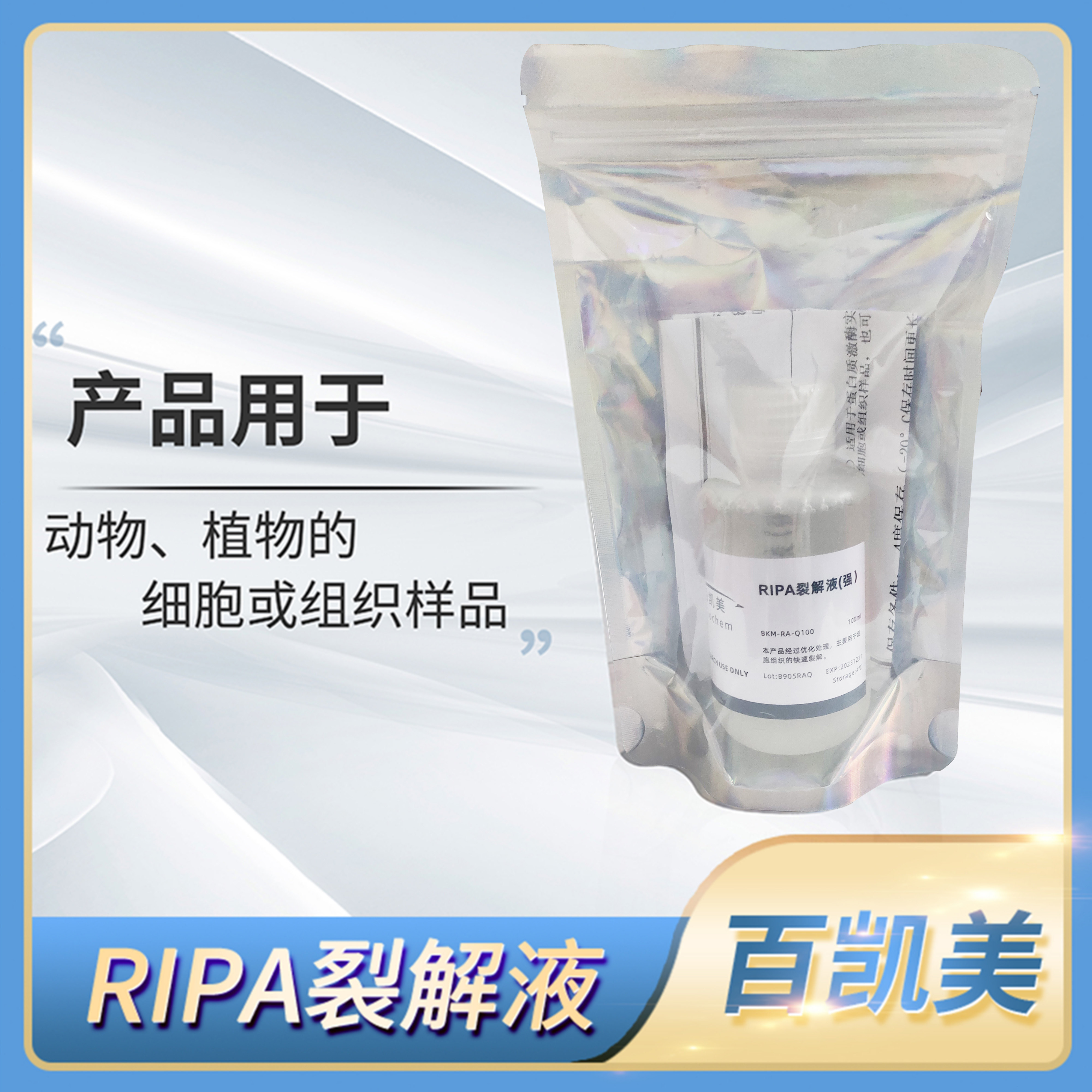 百凯美RIPA裂解液RIPA buffer(强)细胞组织蛋白提取试剂盒WB试剂