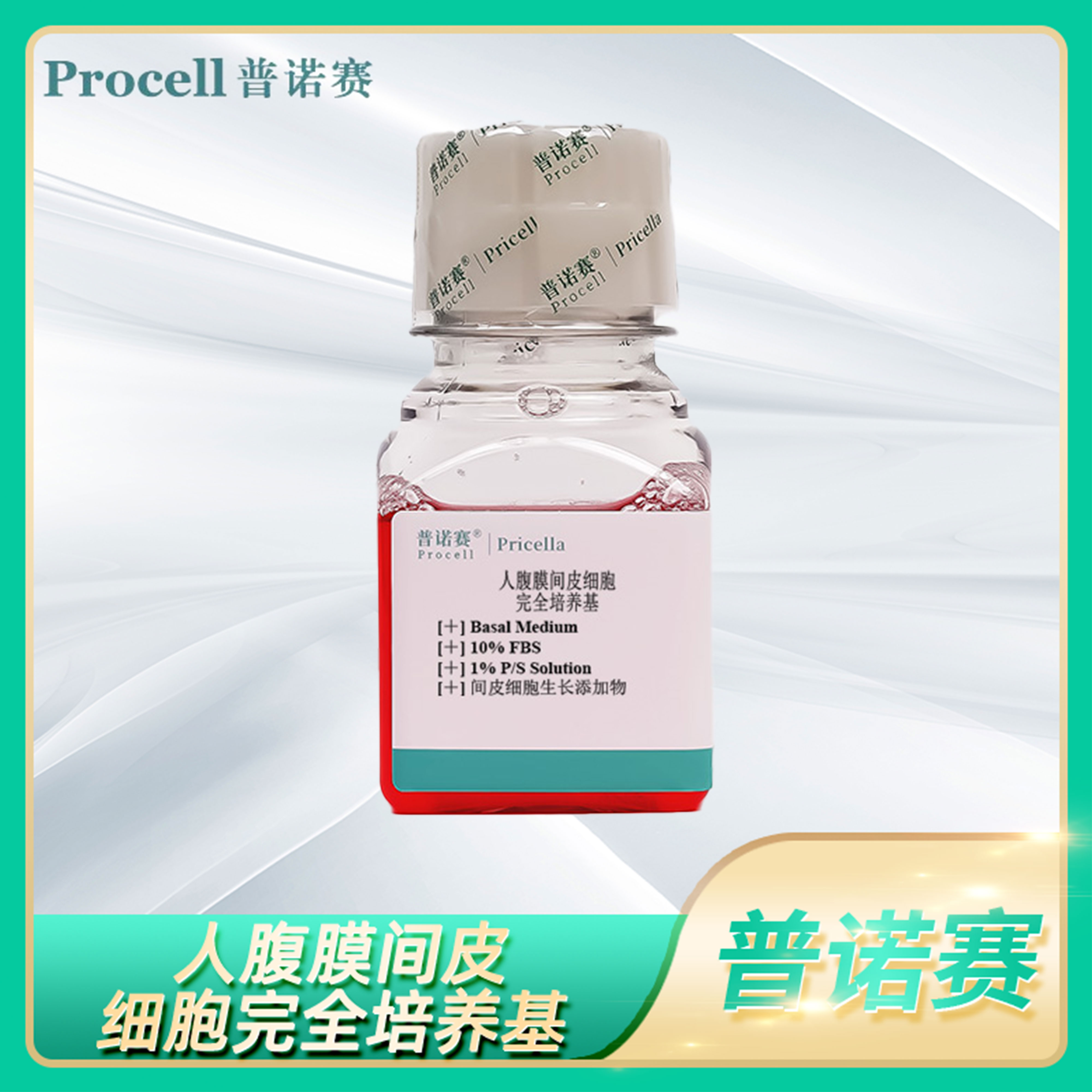 人腹膜间皮细胞完全培养基Basal Medium腹膜间皮细胞生长添加物