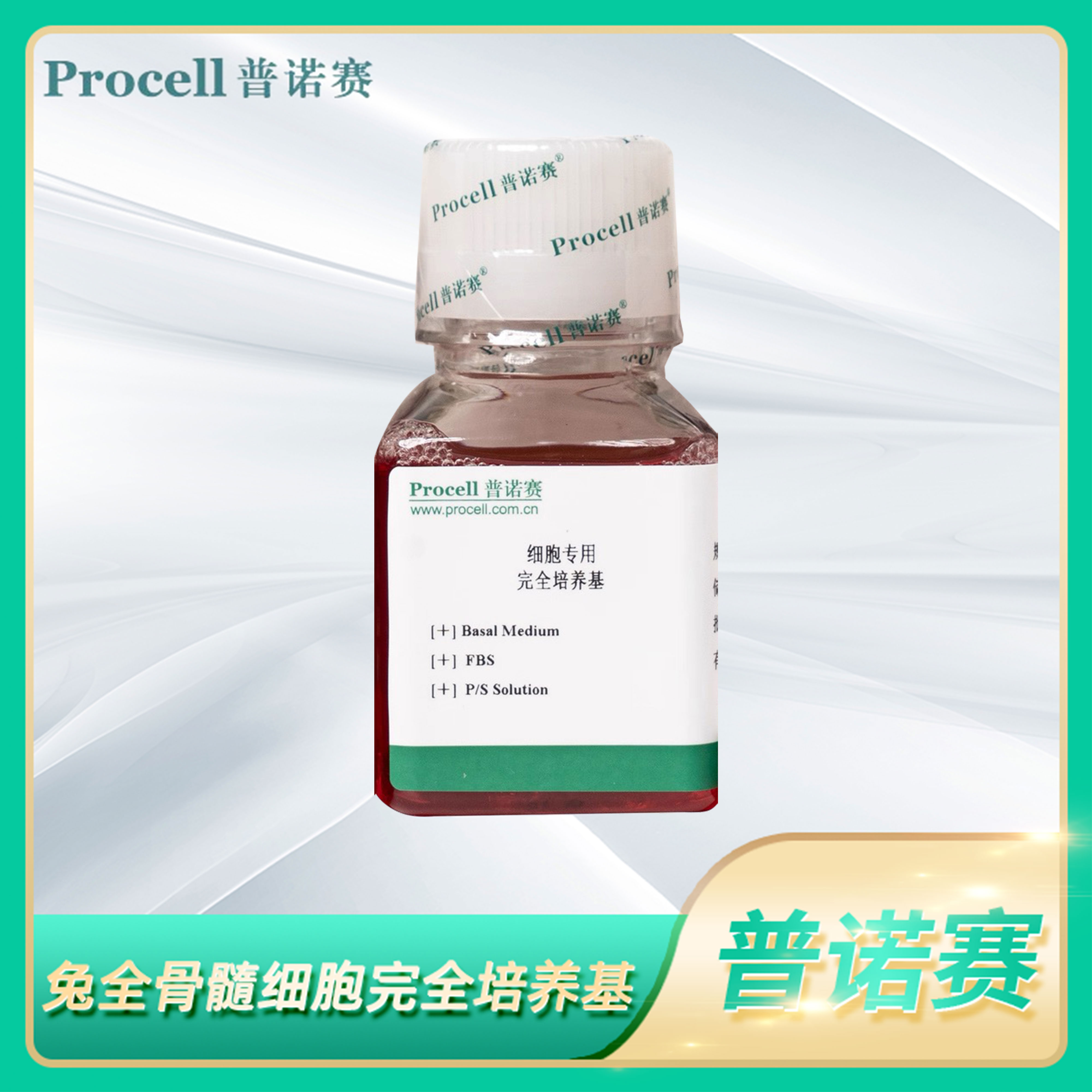 细胞体外培养液rabbit bone marrow cells兔全骨髓细胞完全培养基