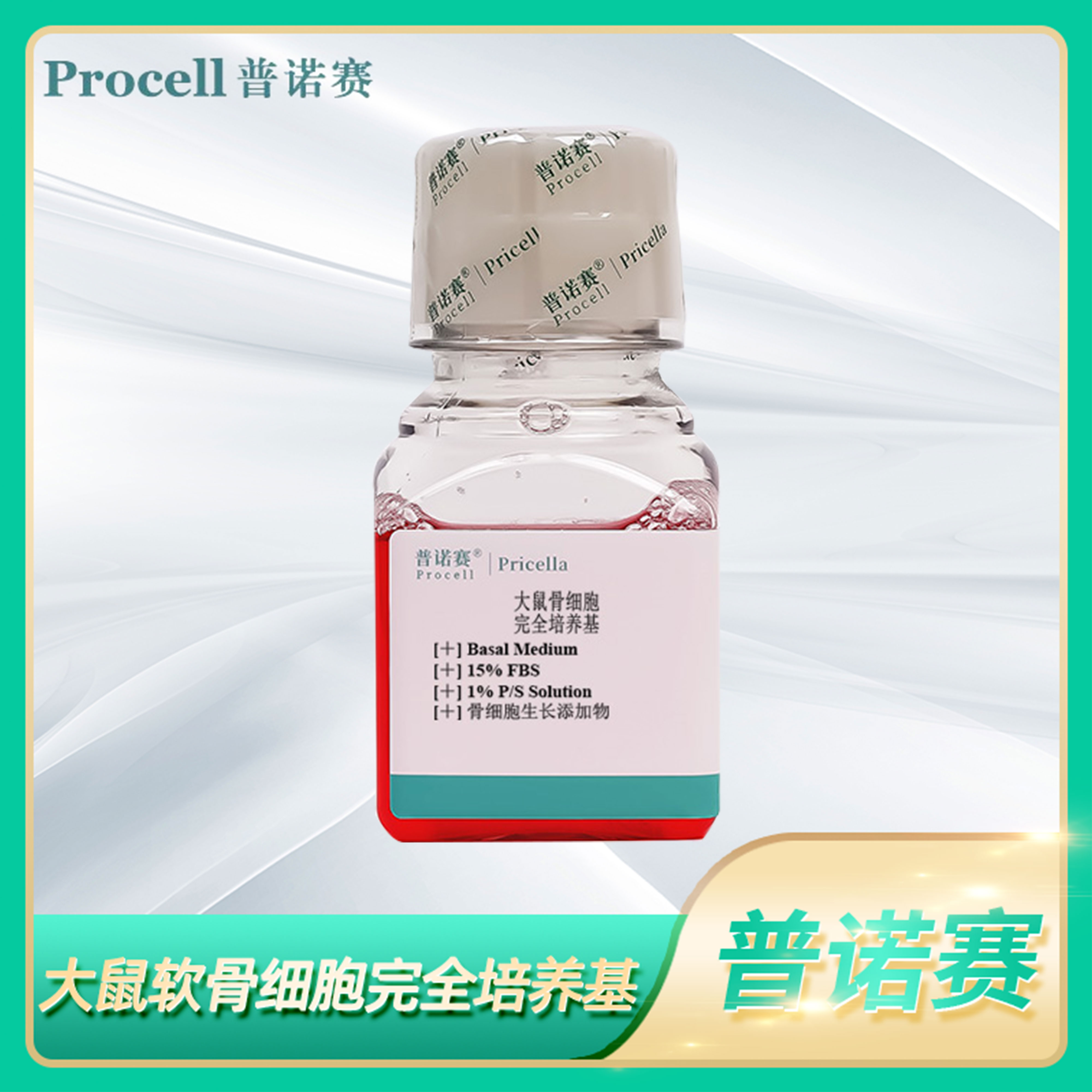 大鼠软骨细胞体外生长添加物Basal Medium大鼠软骨细胞完全培养基