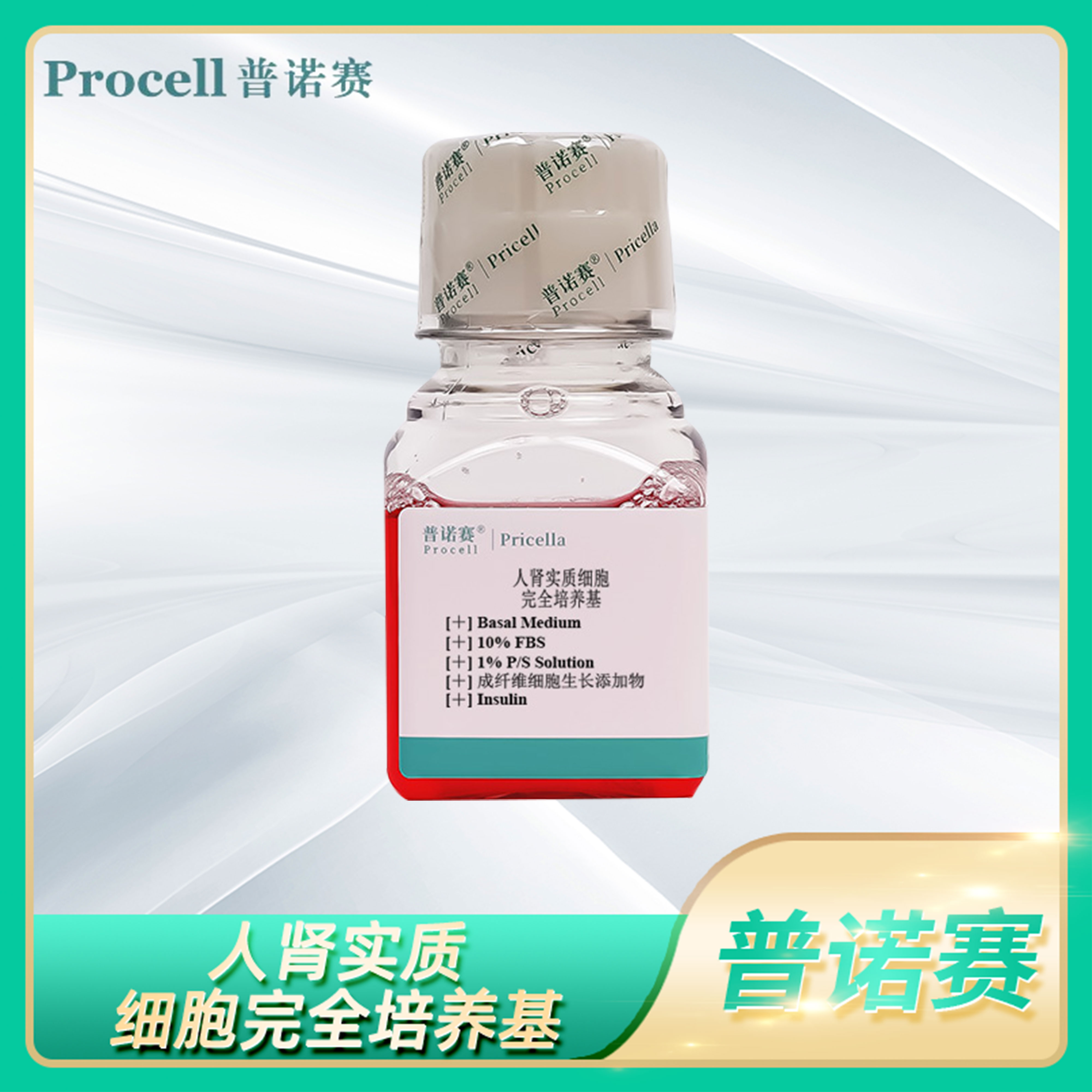 人肾实质细胞完全培养基Human Renal Parenchymal Cell普诺赛