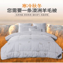 CATHYLADI thickened winter quilt Australian wool quilt 100 pure wool warm quick heating cashmere quilt pure cotton quilt core