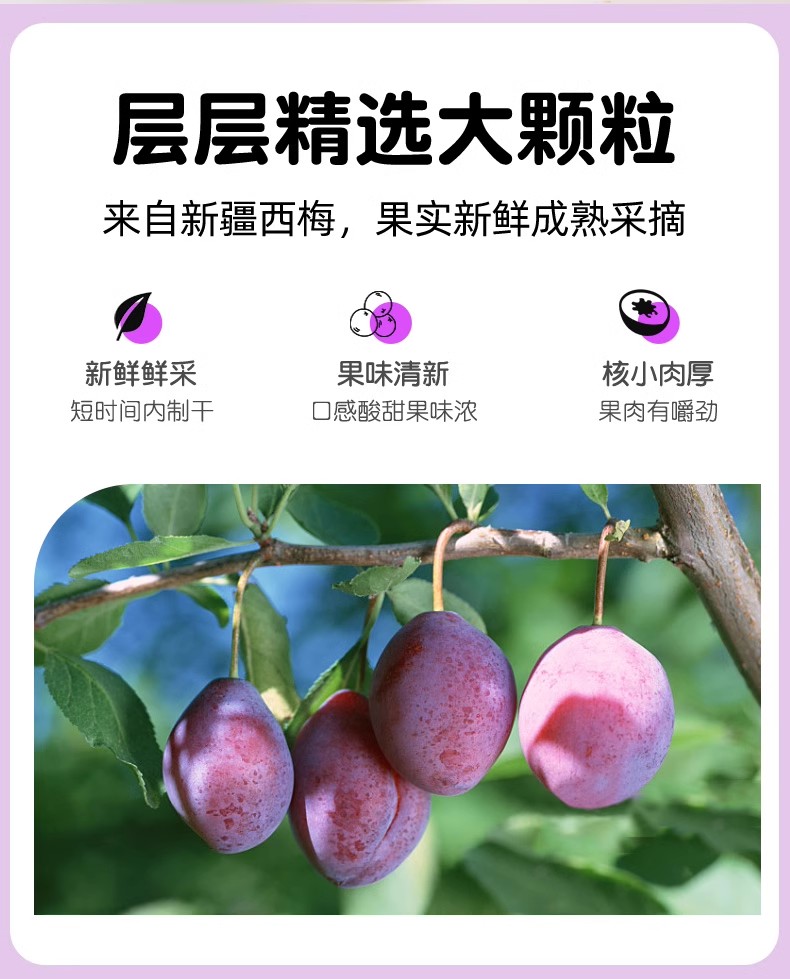 Dried Prune Snacks Seedless Preserved Fruit No Additives 170g Jar overview